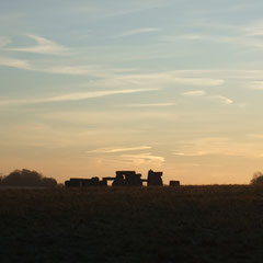 Sunrise near Stonehenge  (Walk 6)