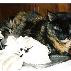 Cleo a 21 anni