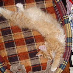 ...relax...