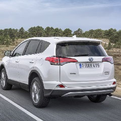 RAV4 IV PHEV E85