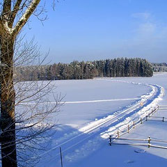 idyllische Langlaufloipen bei Plößberg
