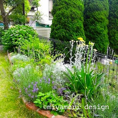 花壇や門廻りの植栽「花や実もの、香りを楽しむ花壇」©miyamori design
