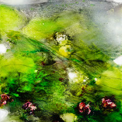 Nymphéas 4 81x100 2022