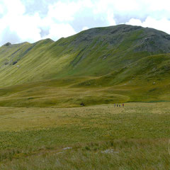 Promeneurs perdus dans la plaine - Orcières Merlette (Hautes-Alpes), Juillet 2011