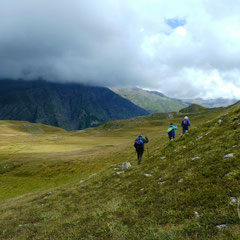 En balade - Orcières Merlette (Hautes-Alpes), Juillet 2011