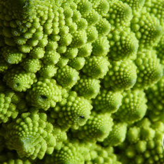 Fractales d'un chou romanesco - Orange (Vaucluse), Février 2012