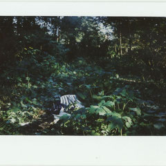 AT HOME AT THE ZUIDAS / POLAROIDS