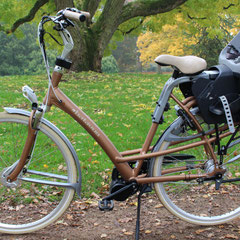 Batavus Mambo met Middenmotor ombouwset elektrische fiets van FON