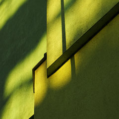 Evergreen (c) chris tomas