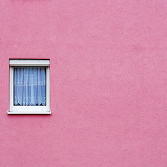 Single in Pink (c) chris tomas