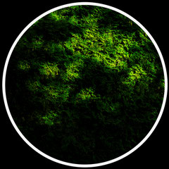 Inner Circle 1 (c) chris tomas