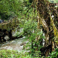 Meghalaya - ÍNDIA
