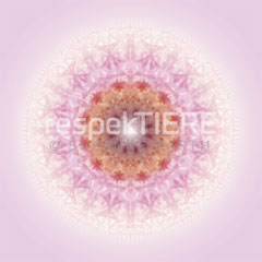Lebendiger Meisterkristall "respekTIERE" no1 © Susanne Barth www.respekTIERE.net