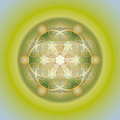 Lebendiges Mandala, EL holz No.1 © Susanne Barth