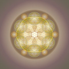 Lebendiges Mandala, EL erde No.1 © Susanne Barth