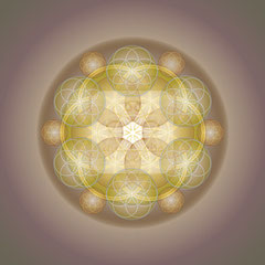 Lebendiges Mandala, EL erde No.1 © Susanne Barth