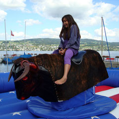 Bull-Riding
