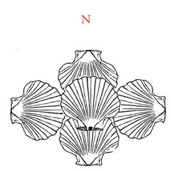  Ondes de forme : LA COQUILLE SAINT JACQUES -- Ses vertus et son utilisation -- Image