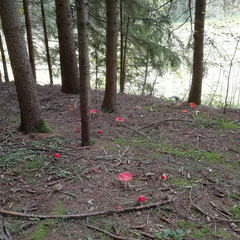 Foto © Margareta Loscher