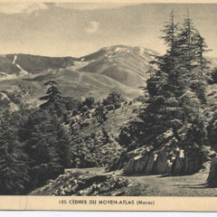 CENTRE D'ESTIVAGE DU MOYEN ATLAS BAB OU IDIR IMMOUZER IFRANE