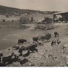 IFRANE MAROC 4 JOURS AVEC LE GOUM ET LES MULETS