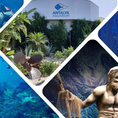 Antalya Aquarium Ticket mit Transfer
