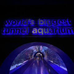 Antalya Aquarium Ticket mit Transfer