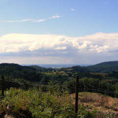 Blick auf die Starkenburg