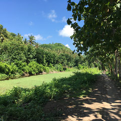 natur-pur-sakti-nusa-penida