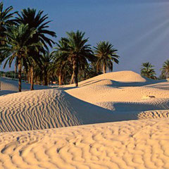 Desierto del Sahara