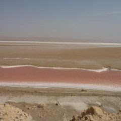 Chott el Jerid