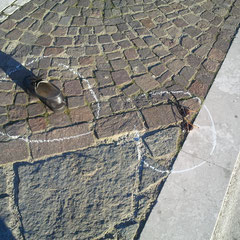 Foto Frosinone web