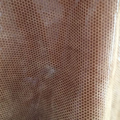 Cognac Ausschnitt