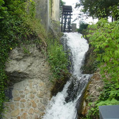 am Rheinfall in Schaffhausen