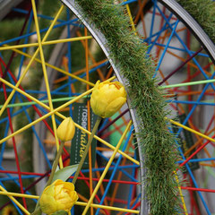 Steckboard / Pinnwand - recycelte Fahrradfelge (Foto Sylvia Harbig)