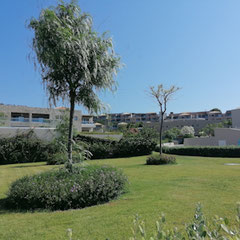 Blue Lagoon Village Kos, Garten