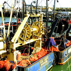 Newhaven