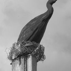 Newhaven