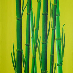 BAMBOO   30x60x4