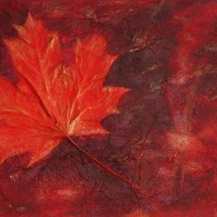 CANADA   30x60x4