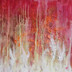 BIRDLAND   50x50x0.5