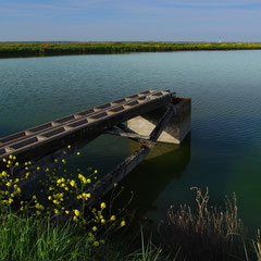 Ile de Ré