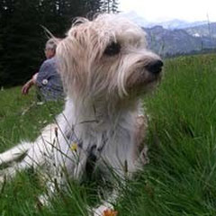 Benou "Benny"