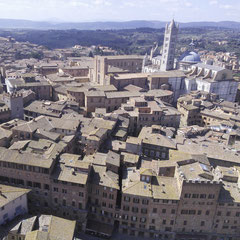 View from the Torre del Mangia