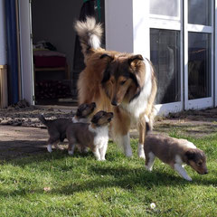 Bootsie ließ sich wie immer nicht nehmen, ihre kleinen Geschwister zu begleiten <3