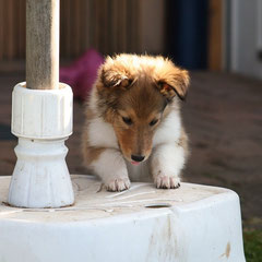 Calina: Da ist Wasser drin!