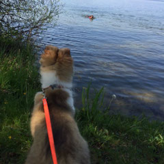 Schwimmunterricht steht auf dem Programm!