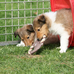 Cleo und Cady