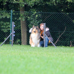 "Collierennen" beim Welpentreffen