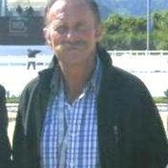 Wilhelm Teuber-Weckersdorf, staatlicher Reitlehrer